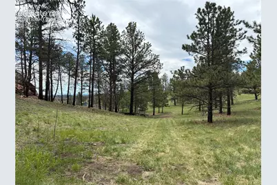266 Chapparal Trail, Florissant, CO 80816 - Photo 27