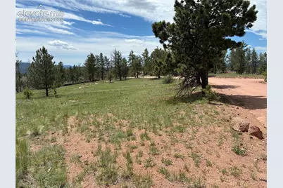 266 Chapparal Trail, Florissant, CO 80816 - Photo 5