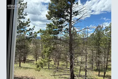 266 Chapparal Trail, Florissant, CO 80816 - Photo 23