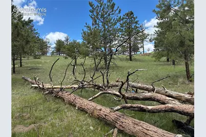 266 Chapparal Trail, Florissant, CO 80816 - Photo 9