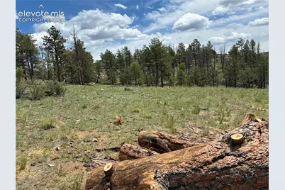 266 Chapparal Trail, Florissant, CO 80816 - Photo 3