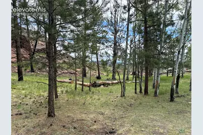 266 Chapparal Trail, Florissant, CO 80816 - Photo 29