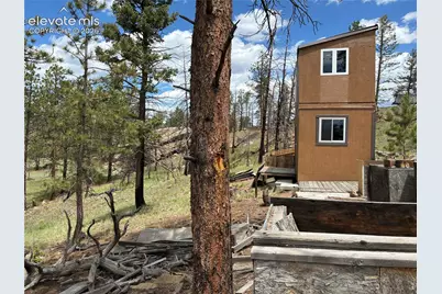 266 Chapparal Trail, Florissant, CO 80816 - Photo 13