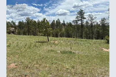 266 Chapparal Trail, Florissant, CO 80816 - Photo 7