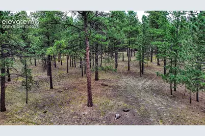 9950 Pine Park Trail, Colorado Springs, CO 80908 - Photo 5