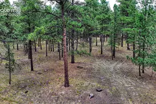 9950 Pine Park Trail, Colorado Springs, CO 80908 - Photo 5