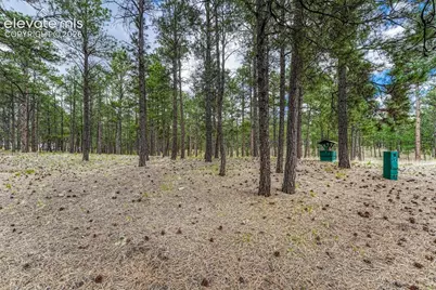9950 Pine Park Trail, Colorado Springs, CO 80908 - Photo 7