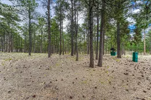 9950 Pine Park Trail, Colorado Springs, CO 80908 - Photo 7