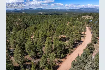 210 Donzi Trail, Florissant, CO 80816 - Photo 3