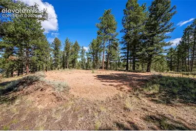 210 Donzi Trail, Florissant, CO 80816 - Photo 21