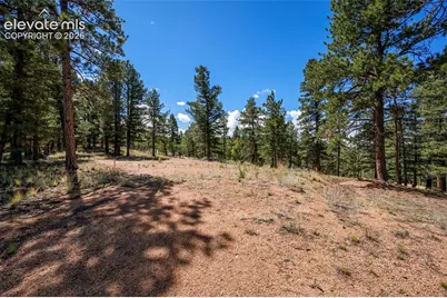 210 Donzi Trail, Florissant, CO 80816 - Photo 19