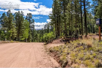 210 Donzi Trail, Florissant, CO 80816 - Photo 25