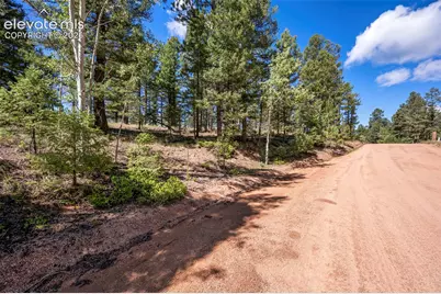 210 Donzi Trail, Florissant, CO 80816 - Photo 17