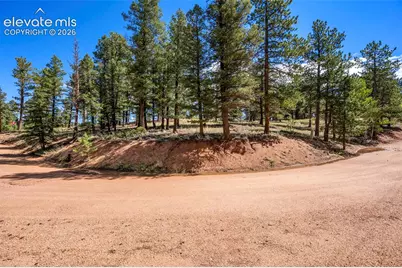 210 Donzi Trail, Florissant, CO 80816 - Photo 23