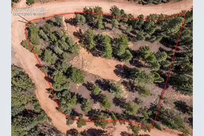 210 Donzi Trail, Florissant, CO 80816 - Photo 15
