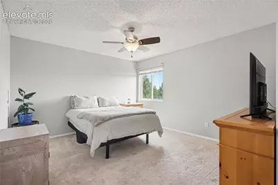 6025 Fescue Drive, Colorado Springs, CO 80923 - Photo 13