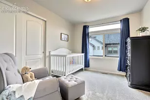 9144 Baltin Ct, Colorado Springs, CO 80927 - Photo 33