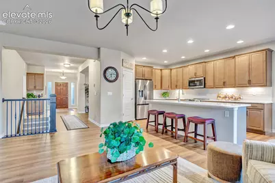 10056 Emerald Lake Lane, Colorado Springs, CO 80924 - Photo 11