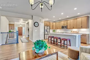 10056 Emerald Lk Ln, Colorado Springs, CO 80924 - Photo 11