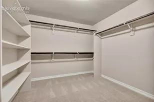 10056 Emerald Lk Ln, Colorado Springs, CO 80924 - Photo 37