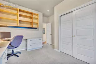 10056 Emerald Lk Ln, Colorado Springs, CO 80924 - Photo 29