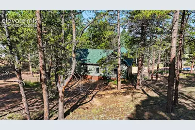 74 Buckskin Circle, Florissant, CO 80816 - Photo 31