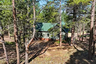 74 Buckskin Cir, Florissant, CO 80816 - Photo 31