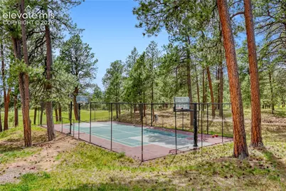 15931 Waving Branch Way, Colorado Springs, CO 80908 - Photo 9
