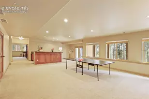 15931 Waving Branch Way, Colorado Springs, CO 80908 - Photo 31
