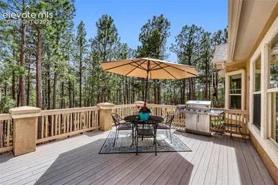 15931 Waving Branch Way, Colorado Springs, CO 80908 - Photo 15