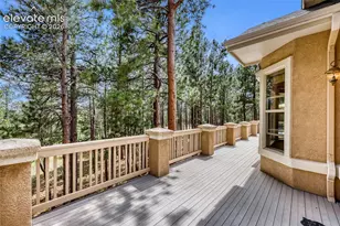 15931 Waving Branch Way, Colorado Springs, CO 80908 - Photo 17