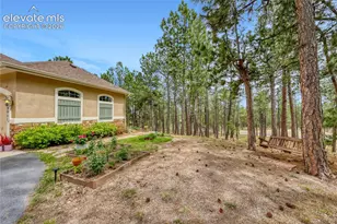 15931 Waving Branch Way, Colorado Springs, CO 80908 - Photo 5