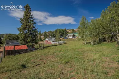 517 Portland Avenue, Victor, CO 80860 - Photo 17