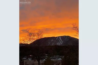 381 Raspberry Lane, Monument, CO 80132 - Photo 43