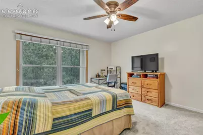 381 Raspberry Lane, Monument, CO 80132 - Photo 25