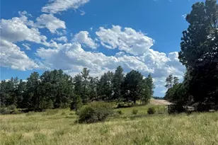 19610 Birdseye View, Peyton, CO 80831 - Photo 25