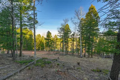 88 Malmsey Lane, Divide, CO 80814 - Photo 3