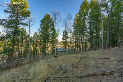 88 Malmsey Lane, Divide, CO 80814 - Photo 9