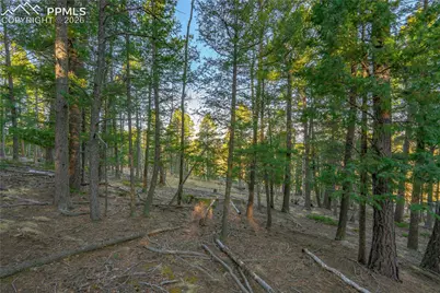 88 Malmsey Lane, Divide, CO 80814 - Photo 11