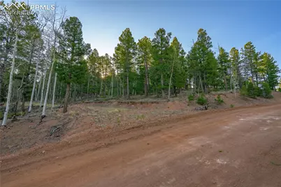 88 Malmsey Lane, Divide, CO 80814 - Photo 5