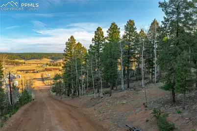 88 Malmsey Lane, Divide, CO 80814 - Photo 13