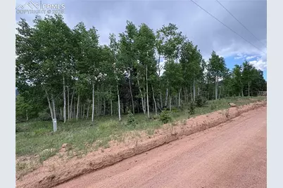 532 May Queen Drive, Cripple Creek, CO 80813 - Photo 5