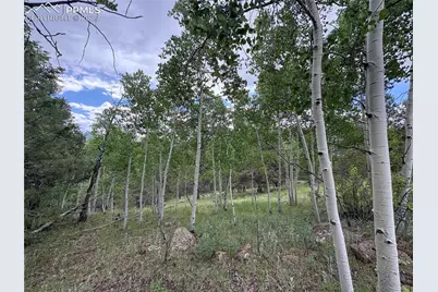 532 May Queen Drive, Cripple Creek, CO 80813 - Photo 7
