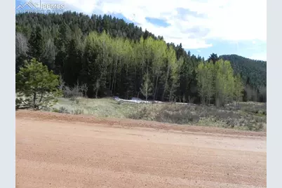 1699 Monarch Drive, Cripple Creek, CO 80813 - Photo 5