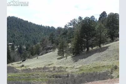 1699 Monarch Drive, Cripple Creek, CO 80813 - Photo 7