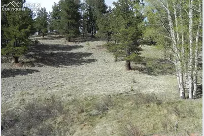1699 Monarch Drive, Cripple Creek, CO 80813 - Photo 1