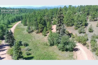 719 Spring Valley Lane, Florissant, CO 80816 - Photo 5