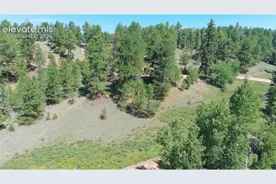 719 Spring Valley Lane, Florissant, CO 80816 - Photo 1