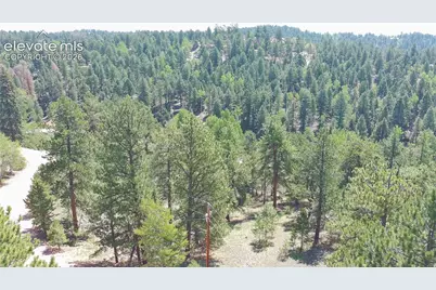 719 Spring Valley Lane, Florissant, CO 80816 - Photo 7