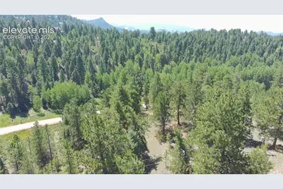 719 Spring Valley Lane, Florissant, CO 80816 - Photo 9